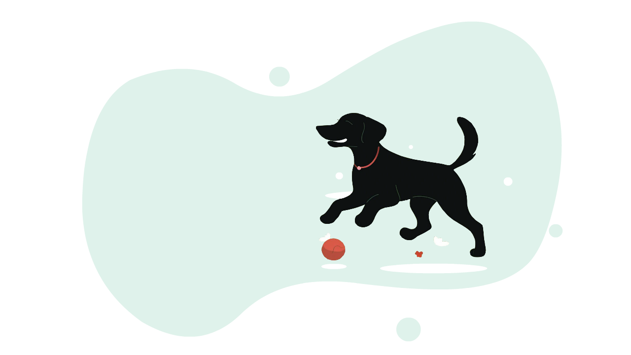 Background Product Finder